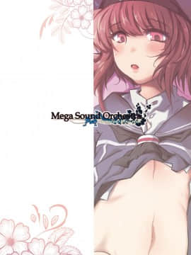 [MegaSoundOrchestra (三割引)] Danke. Auf Wiedersehen. (艦隊これくしょん -艦これ-)_26