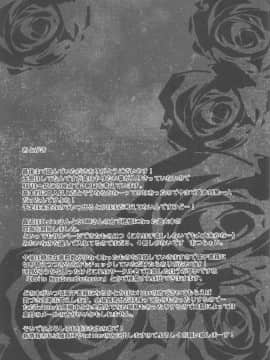 (C92) [MegaSoundOrchestra (三割引)] 幻想艶交-RandF- (東方Project)_24
