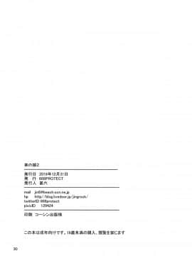 [就變態翻譯組一人樣 x 我尻故我在個人漢化#27](C95) [666PROTECT (甚六)] 弟の娘 2_30