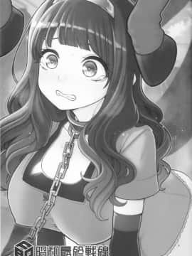 (C95) [昭和最終戦線 (はなうな) べんむすぼうけんのしょ12 (ドラゴンクエスト)_02