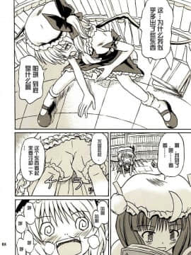 (例大祭2) [高久屋 (高久としひこ)] 東方妖女乱舞2 (東方Project) [中国翻訳]_007