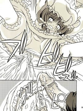(例大祭2) [高久屋 (高久としひこ)] 東方妖女乱舞2 (東方Project) [中国翻訳]_012