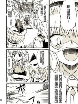 (例大祭2) [高久屋 (高久としひこ)] 東方妖女乱舞2 (東方Project) [中国翻訳]_019