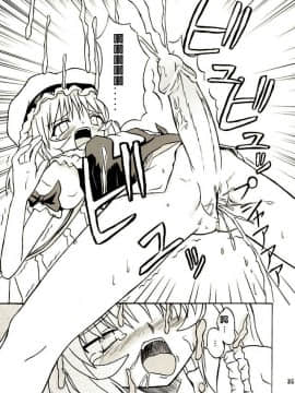 (例大祭2) [高久屋 (高久としひこ)] 東方妖女乱舞2 (東方Project) [中国翻訳]_034