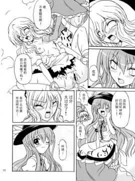 (C75) [高久屋 (高久としひこ)] 東方妖女乱舞9 (東方Project) [中国翻訳]_010_331r