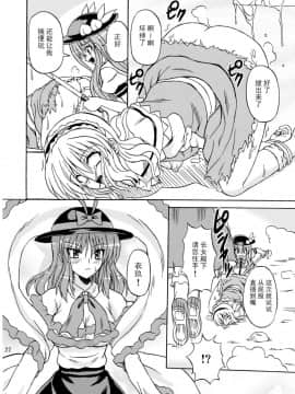 (C75) [高久屋 (高久としひこ)] 東方妖女乱舞9 (東方Project) [中国翻訳]_022_331r