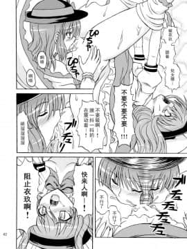 (C75) [高久屋 (高久としひこ)] 東方妖女乱舞9 (東方Project) [中国翻訳]_042_331r