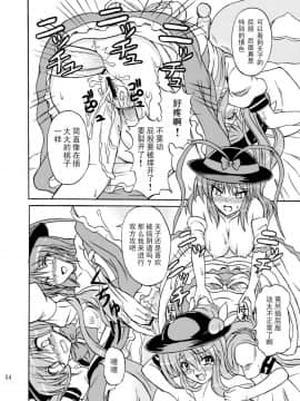 (C75) [高久屋 (高久としひこ)] 東方妖女乱舞9 (東方Project) [中国翻訳]_054_331r
