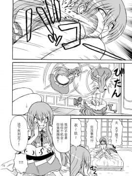 (C75) [高久屋 (高久としひこ)] 東方妖女乱舞9 (東方Project) [中国翻訳]_072_331r