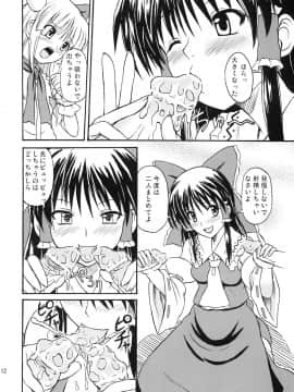 (例大祭4) [高久屋 (高久としひこ)] 東方妖女乱舞8 (東方Project)_b1r_012