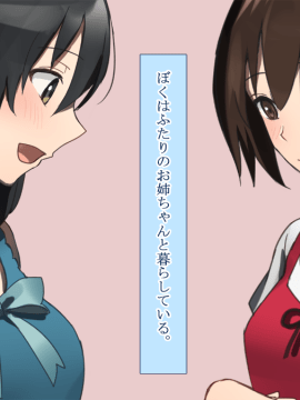 (同人CG集) [台風日和] 発情姉ふたり 弟と子作りしたいお姉ちゃんは好きですか？_0002_01_01