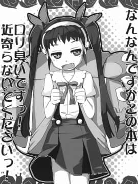 (C76) [CHILLED HOUSE (葵久美子)] BIBON VOL 3.0 (ドルアーガの塔)_18