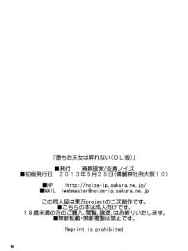 [禍葬現実 (支倉ノイズ)] 堕ちた天女は昇れない (東方Project)_26