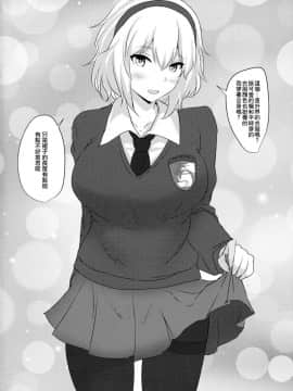 (例大祭14) [白銀木犀 (ぽし)] アリスをオカズに射精する本 (東方Project) [靴下汉化组]_11