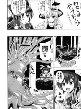(例大祭14) [すきやきクラブ (孝治)] 苗床系双成天人 (東方Project)_p_004