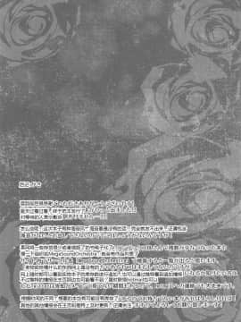 [靴下汉化组](C95) [MegaSoundOrchestra (三割引)] 幻想艶交-Flandre-較 (東方Project)_24