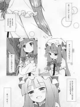 [ぺたパン (あきのそら)] PROJECT PAPER VOL.02 (東方) (非エロ)_img003
