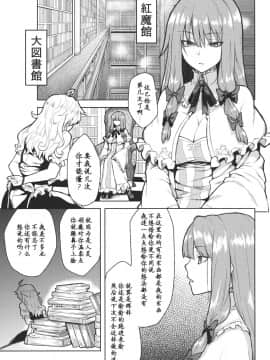 [靴下汉化组] (こいまり4) [広十練習帖 (広弥)] -mariho- (東方Project)_004