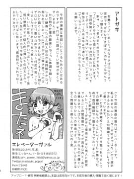 (C87) [てっちゃんハト (みなすきぽぷり)] エレベーターガァル_17