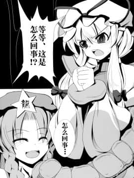 [无毒汉化组] (COMIC1☆6) [大吟醸まっしぐら (ドブロッキィ)] 触姦 (東方Project)_wudu_002