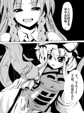 [无毒汉化组] (COMIC1☆6) [大吟醸まっしぐら (ドブロッキィ)] 触姦 (東方Project)_wudu_003