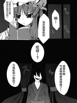 [无毒汉化组] [大吟醸まっしぐら (ドブロッキィ)] ヴワル魔法図触姦 (東方Project)_003