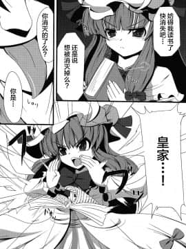 [无毒汉化组] [大吟醸まっしぐら (ドブロッキィ)] ヴワル魔法図触姦 (東方Project)_004
