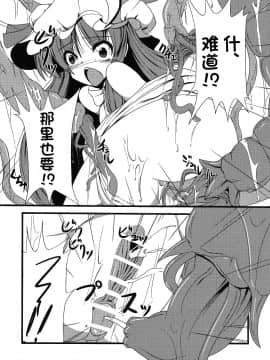 [无毒汉化组] [大吟醸まっしぐら (ドブロッキィ)] ヴワル魔法図触姦 (東方Project)_014