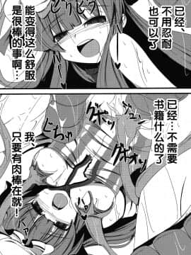 [无毒汉化组] [大吟醸まっしぐら (ドブロッキィ)] ヴワル魔法図触姦 (東方Project)_020