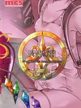[胸垫汉化组] (C94) [天使の羽 (蘭戸せる)] フランちゃんのロリビッチ配信 (東方Project)_25