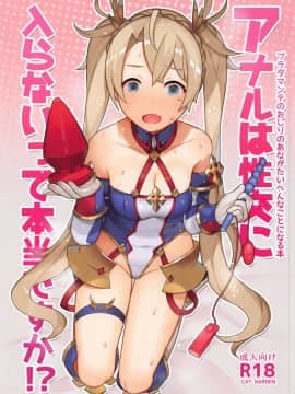 (C95) [CAT GARDEN (ねこてゐ)] アナルは性交に入らないって本当ですか！？ (FateGrand Order)