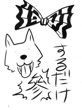 SURUDAKE San._03
