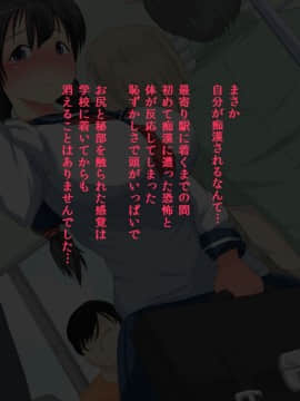(同人CG集) [ダブルメロン] 地味JK痴漢レイプ_019