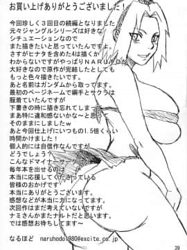 [NARUHO堂 (なるほど)] G3 [Naviator137個人漢化]_39