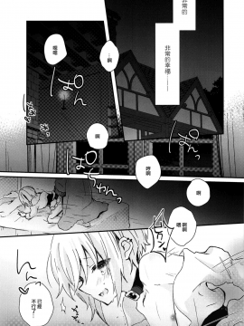 [EZR個人漢化] (C92) [有袋類X (しほみ)] 夜明け前のユーフォリア_04