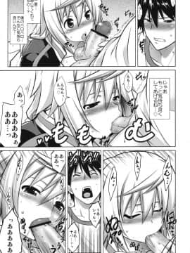 (C80) [STUDIO TIAMAT (TANABE)] 略してIS (IS＜インフィニット・ストラトス＞)_12