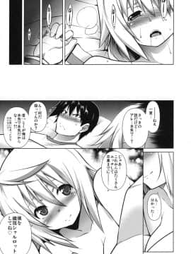 (C80) [STUDIO TIAMAT (TANABE)] 略してIS (IS＜インフィニット・ストラトス＞)_24