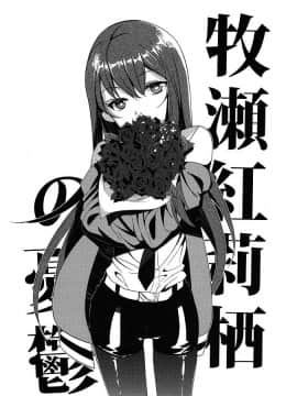 (CHAOS;GATE) [世界平均律 (udk)] Wish a upon star (シュタインズゲート)_018