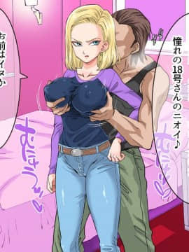 (同人CG集) [霜降亭] 意外とウブい18号さんをナンパして 心の底からトロけさせてみるw (ドラゴンボールZ)_013
