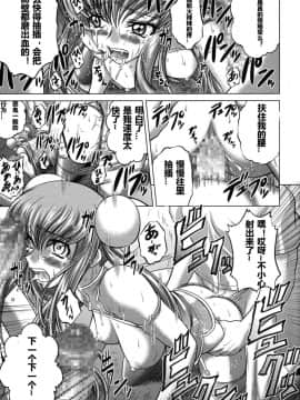 (C85) [ぶるーびーん (要青豆)] C2lemon@E (コードギアス 反逆のルルーシュ) [遥远的守护者个人汉化]_010