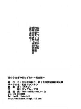 [oo君個人漢化] (例大祭15) [和田マウンテン (タカシ)] 月のうさぎの恋わずらい～完全版～ (東方Project)_26