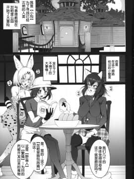 (ふたけっと13) [Circle Σ(泡盛一太朗)] やばんなフレンズ (けものフレンズ) [不咕鸟汉化组]_04_p_003