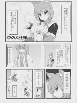 (C83) [朽木ノ洞 (エンマコオロギ)] 夜天ノ犬長夜 (魔法少女リリカルなのは)_21