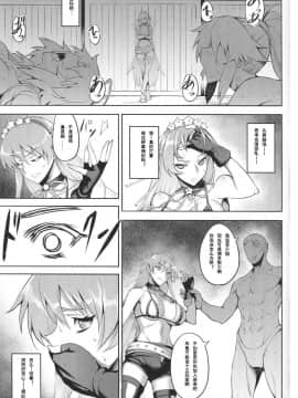 (C95) [アビオン村 (ジョニー)] ENDLESS VACANCES (FateGrand Order)_19