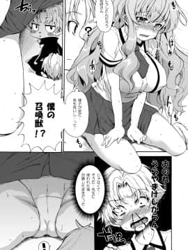 (COMIC1☆4) [Pannacotta (宵野コタロー)] バカとテストと性感獣 (バカとテストと召喚獣)_06
