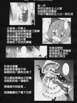 [清純突破漢化] (C77) [のうないカノジョ (キシリトヲル)] 博麗神社の霊夢さん (東方Project)_04