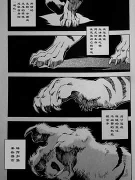 [逃亡者x新桥月白日语社][姬川明辉] THE WILD LEG wolf_011