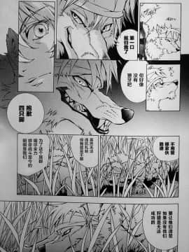 [逃亡者x新桥月白日语社][姬川明辉] THE WILD LEG wolf_097