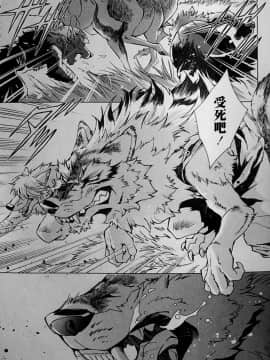 [逃亡者x新桥月白日语社][姬川明辉] THE WILD LEG wolf_099