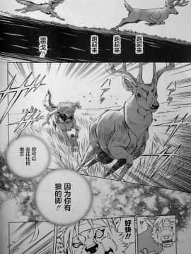 [逃亡者x新桥月白日语社][姬川明辉] THE WILD LEG wolf_104